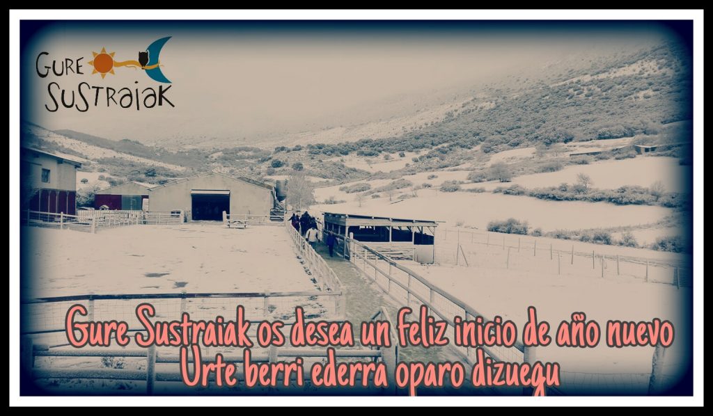 PicsArt_12-18-10.19.36
